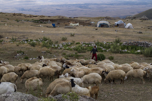 حياة عشائر شاهسون في اردبيل الايرانية