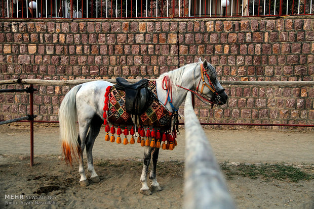 Traditional Games Festival held in Sanandaj