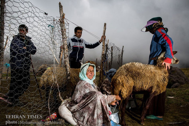 Shahsavan nomadic lifestyle