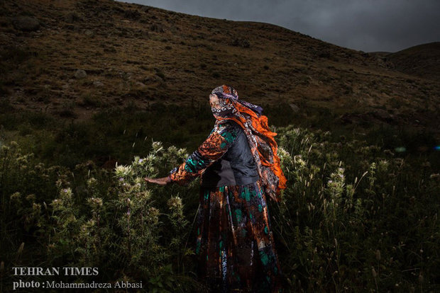 Shahsavan nomadic lifestyle