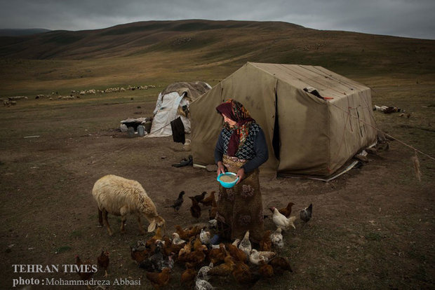 Shahsavan nomadic lifestyle