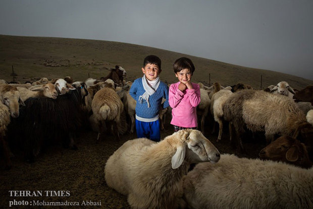 Shahsavan nomadic lifestyle
