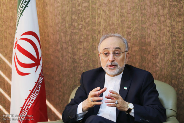 Salehi invites World Nuclear Association to watch JCPOA  