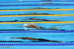 پیگیری اردوی برون مرزی تیم ملی شنا بدون سرمربی