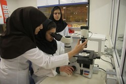 وضعیت قطب‌های علوم پزشکی/ تهران در صدر استقرار قطب علمی