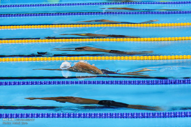 پیگیری اردوی برون مرزی تیم ملی شنا بدون سرمربی 