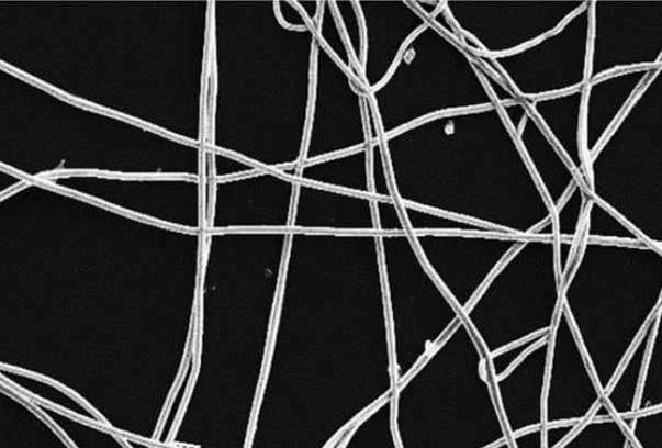 کارآفرینی با چاشنی مادرانه/ نبض تولید در دست بانوان جهادگر