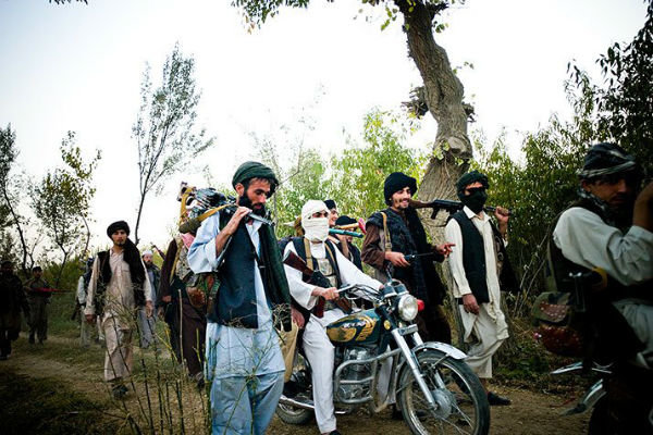 حمله طالبان در ولایت قندهار/ ۸ کارمند کمیسیون انتخابات کشته شدند