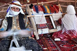 ۳۱ هزار خانوار عشایر کوچ‌رو در استان کرمانشاه ساماندهی می‌شوند