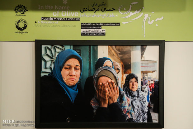 "باسم الزيتون" معرض تصويري لتحرير نبل والزهراء