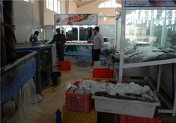راه اندازی بازارچه بزرگ آبزیان جنوب کشور در بوشهر
