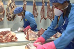 ۱۴ کارگاه بسته بندی گوشت و مرغ در استان همدان فعال است