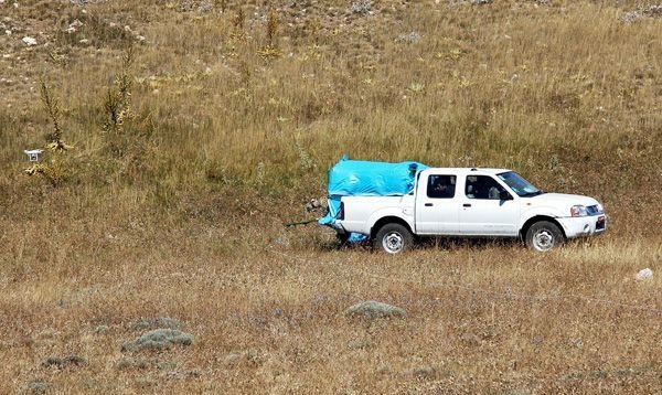 Female leopard ‘Hircan’ released back to the wild