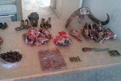 ۳ شکارچی غیر مجاز در شهرستان البرز دستگیر شدند