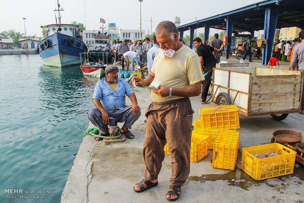 Freshwater hunters hauling shrimp in S Iran