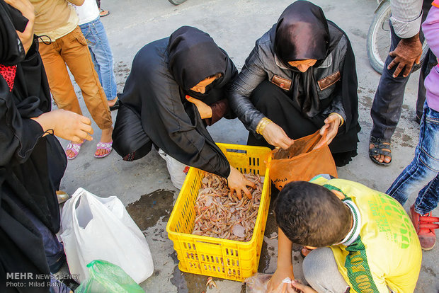 Freshwater hunters hauling shrimp in S Iran