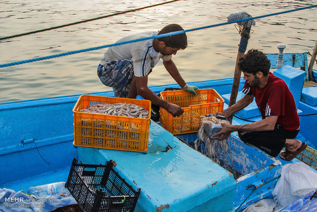 Freshwater hunters hauling shrimp in S Iran