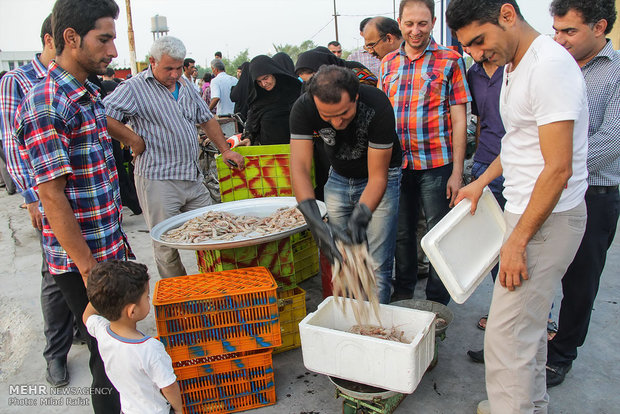 وضعیت فروش آبزیان در بوشهر مناسب نیست/ عرضه ماهی و میگو کف خیابان