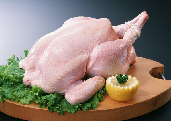 تولید مرغ ارگانیک نداریم/ مرغ سبز بهانه‌ای برای گران‌فروشی است