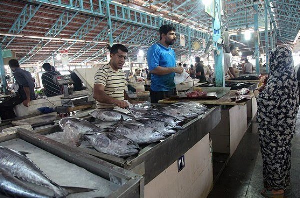 جزئیات تحولات بازار ماهی/شیرجنوب ۳ هزارتومان ارزان شد