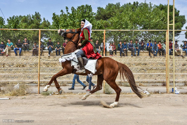 Horse show competitions