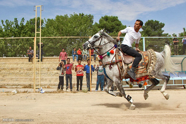 Horse show competitions