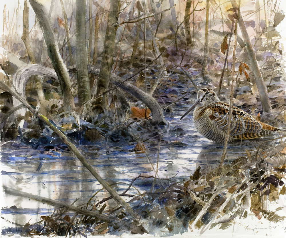 12 Bird-Heidari (2).jpg