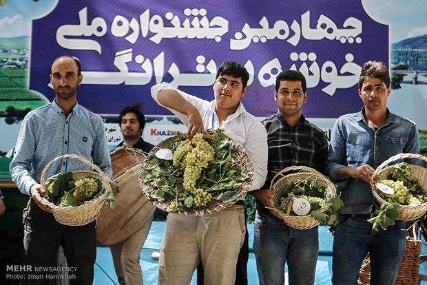 المهرجان الرابع لعناقيد العنب في همدان