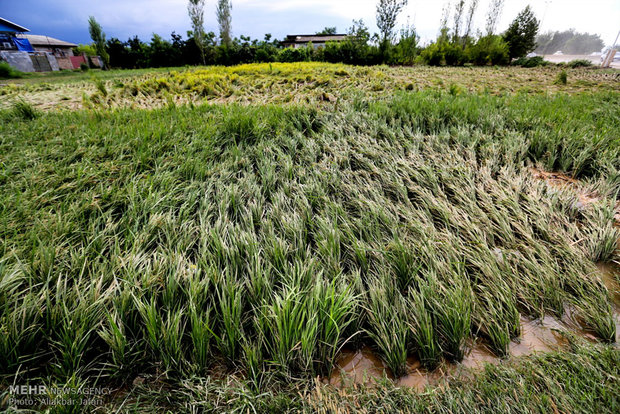 خسارات سیل گلستان به روستاهای اطراف گرگان