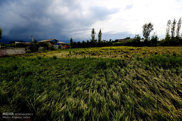 خسارات سیل گلستان به روستاهای اطراف گرگان