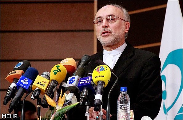 صالحي: حكومات بعض دول المنطقة تحسد ايران على منجزاتها النووية