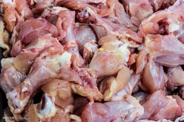 ۱۰۰۰ تن مرغ گرم در خرم‌آباد وارد بازار مصرف می‌شود