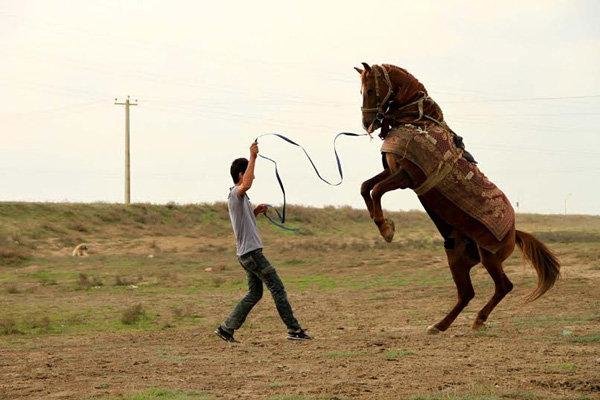 All Iranian films in PIFF