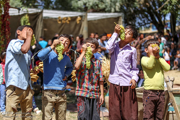 مهرجان الصيف في مدينة "خمين"