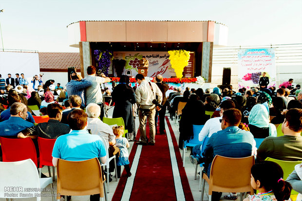 افتتاح المهرجان الوطني للعنب في ارومية