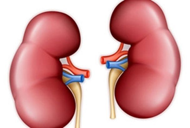 ارتباط داروی سوزش معده با بیماری کلیوی ارتباط داروی سوزش معده با بیماری کلیوی