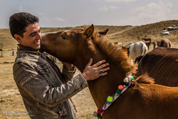 المهرجان الاقليمي الأول لجمال الخيول التركمانية في ايران