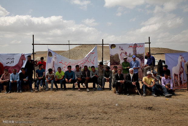 İran’da Türkmen Atı Festivali 