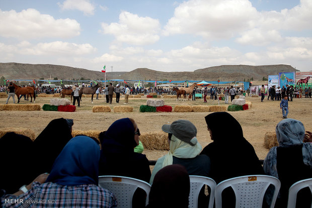 1st Regional Turkmen Horse Beauty Festival 