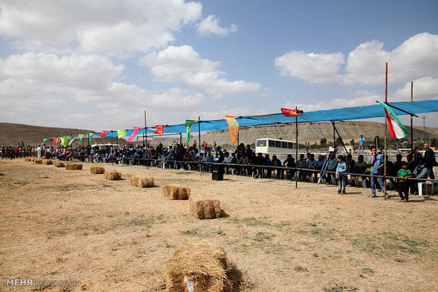 1st Regional Turkmen Horse Beauty Festival 