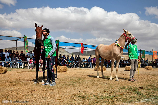 1st Regional Turkmen Horse Beauty Festival 