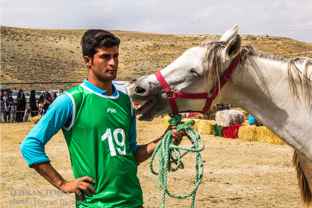 Noble Turkmen horse splendor festival makes debut in northeastern Iran