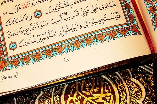  مهجوریت زدایی از قرآن در نظام آموزش عالی بررسی می شود 