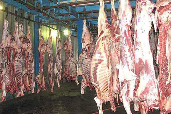 گوشت در آستانه ۴۰ هزارتومانی شدن/ دام در بازار نیست!