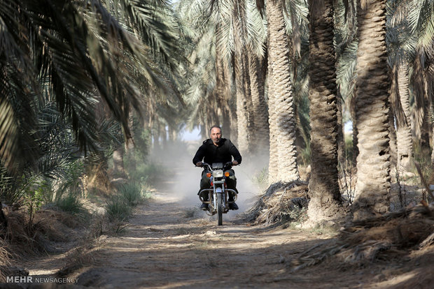 فیلم سینمایی هیهات