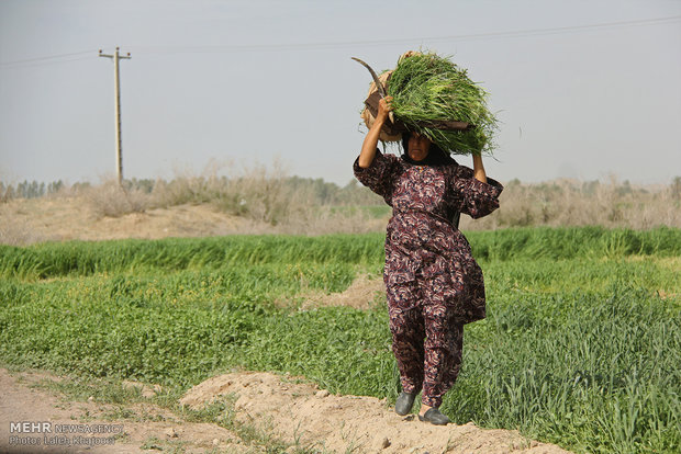 A view of daily life in Iran – 55