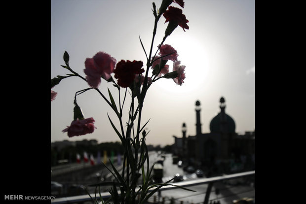 معرض تصويري "بأمل الله، الانتحار ممنوع"