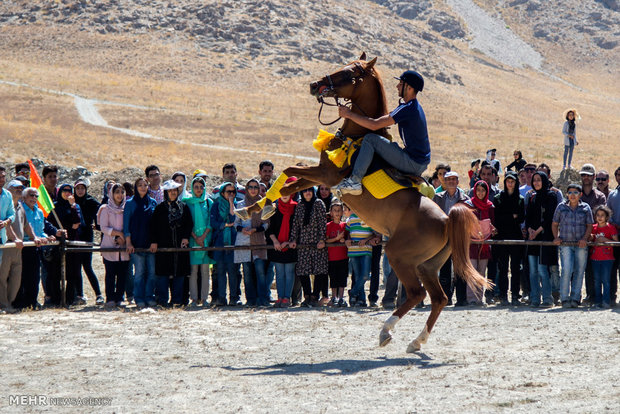 Horse beauty, riding contest in Arak