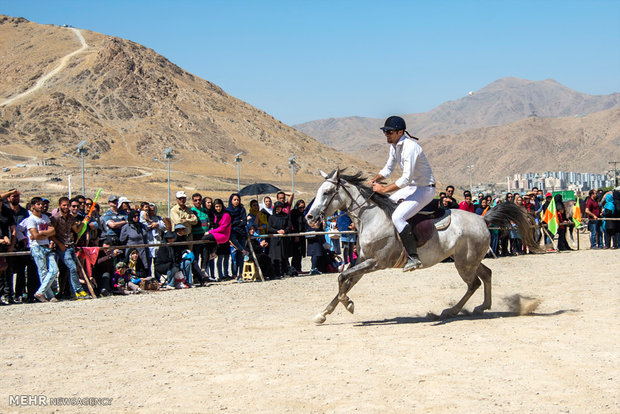 Horse beauty, riding contest in Arak