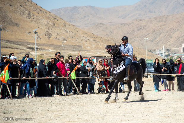 Horse beauty, riding contest in Arak